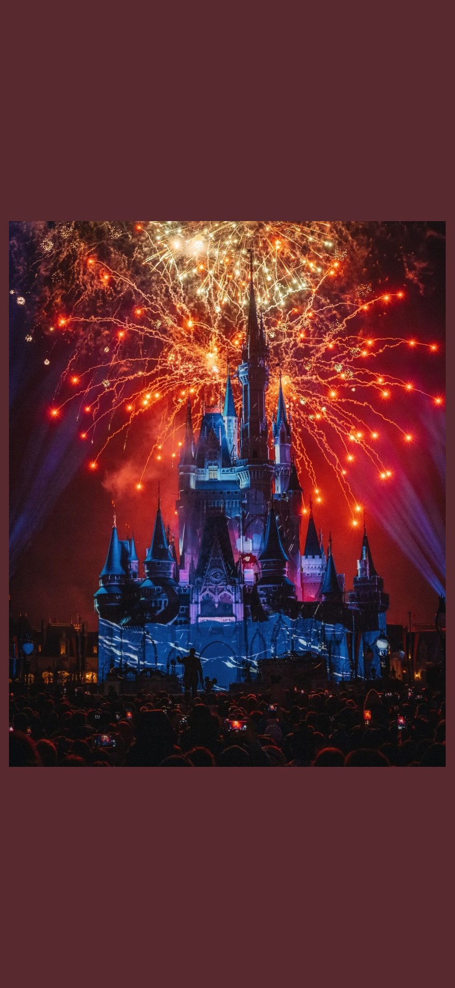 🛍️ התאוששות + Disney Springs